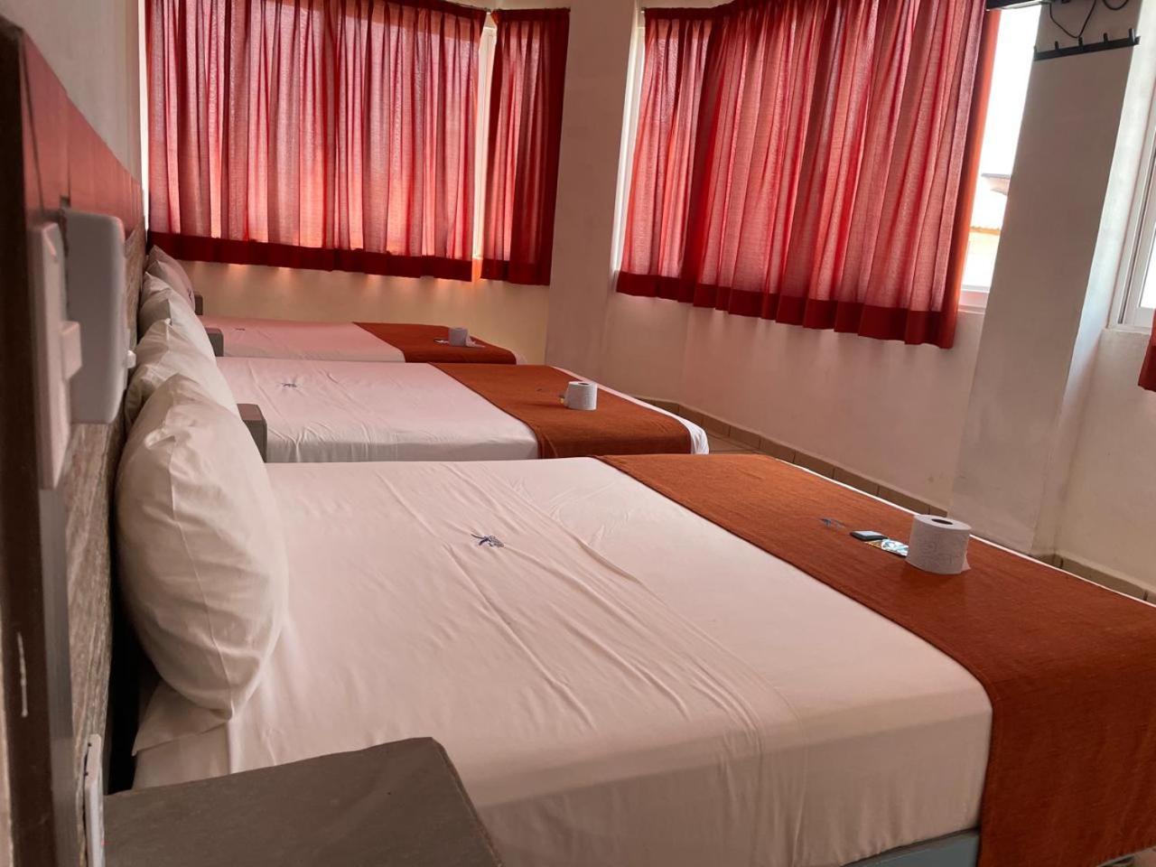 Hotel Albatros Penita de Jaltemba Bagian luar foto